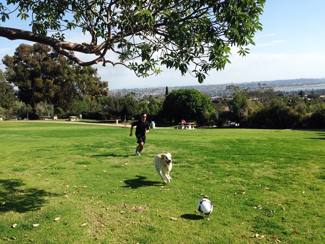 kate-sessions-park-dog-friendly