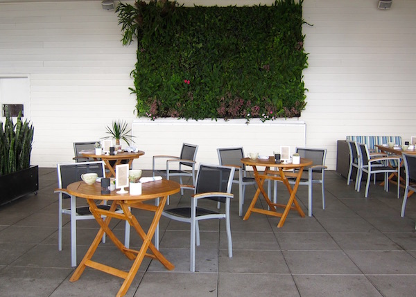 andaz-rooftop-brunch-san-diego-1